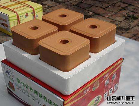 牛羊舔砖